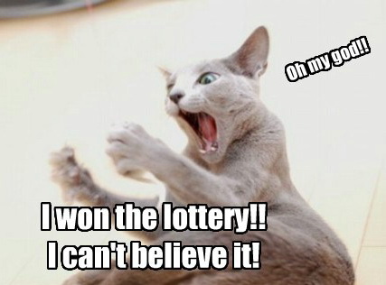 Weird lottery prizes